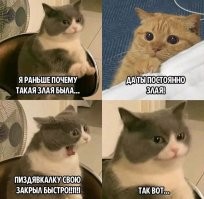 Мемы из соцсетей. Свежак за 3 февраля