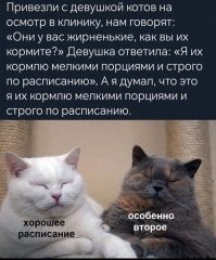 Мемы из соцсетей. Свежак за 3 февраля