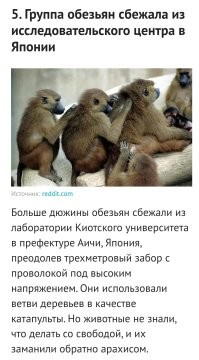 10 необычных фактов, которые кажутся выдумкой