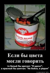Разговор на рынке:
- Это черная смородина?
- Нет, красная.
- А почему она белая?
- Потому, что зеленая.