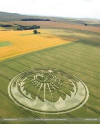 Намешалось