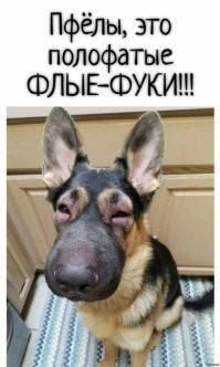 Не понимаю этих располневших из-за своей слабовольности.
Ну подретушировала ты себя под стройняшку, а на свидании через час что будешь делать?
Придёшь такая, а мужик: "Ты чё так раздулась?"
А ты в ответ: