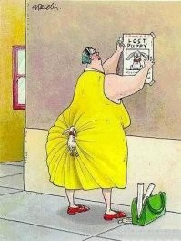 "Слишком тесно!": модель из Панамы просит увеличить сидения в самолётах