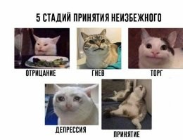 Да, ладно. Там пять стадий. В первые пять минут,  как раз - отрицание. И т.д.