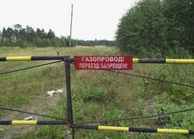 Не зря сочетание чёрного и жёлтого вызывает у нас бессознательную тревогу!