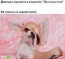 30 самых неловких фотографий из серии «Соцсети и реальность»