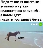 Всё просто. Дело в том, что клопы и клещи могут пережить стирку и продолжить размножаться, а вот утюг, они не переживут.