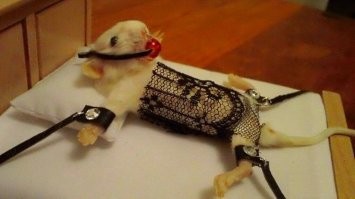 Скрины из соцсетей&nbsp;