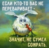 Мемы из соцсетей. Свежак за 7 февраля