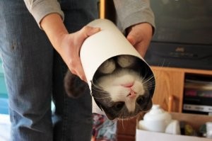 Напрягает, говоришь? 
Чувак, расслабься, покури кота.