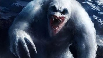 Может ему такая няшка в углу комнаты привиделась)))