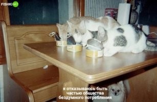 - Не дают?
- Не дают.