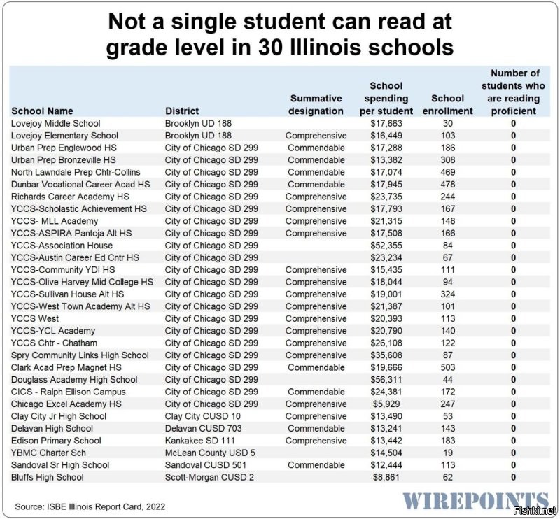 В 30 школах Иллинойса никто из выпускников не умеет читать. Никто. В 30 школах.