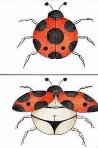 Скрины из соцсетей&nbsp;