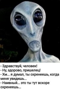 Скрины из соцсетей&nbsp;