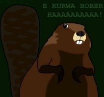 Бобр может прыгнуть на несколько метров, используя хвост как пружину