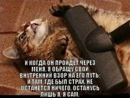 Хозяин пылесосит своего кота