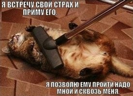 Хозяин пылесосит своего кота