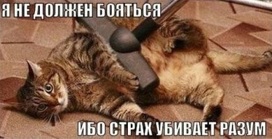 Хозяин пылесосит своего кота