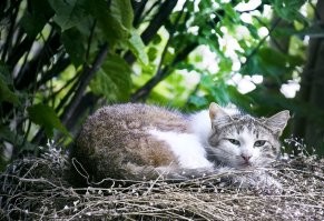 Добавлю и своих))).