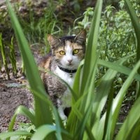 Добавлю и своих))).