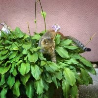Добавлю и своих))).