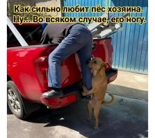 Всё вразнобой&nbsp;