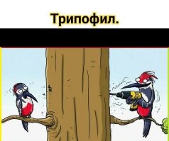 Неадекватный мужчина решил посверлить в подъезде