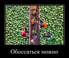 Когда всё пошло немного не по плану