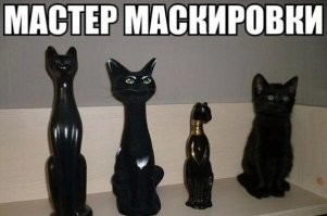 Мастера маскировки и камуфляжа