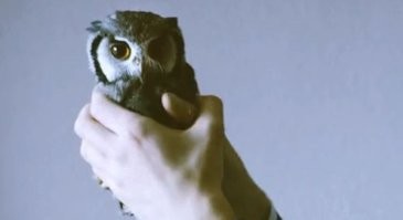 Так и не открутил..