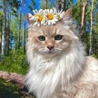 Всё вразнобой&nbsp;