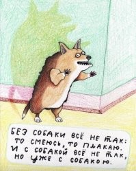 " я похоронил 3 собаки "
Ты бы видел мое кладбище... Твои три ни о чем в сравнении... И  истерики были... И даже хуже... Но собаки были всегда...
А сейчас полный пиндец... так вот вышло, что нет собаки... и не будет... Это стресс не слабее похорон... Только вот тебе не понять, раз ты уже предал собак...