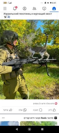 вот образчик