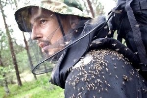 Не в том месте она костры разжигает.