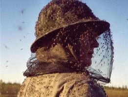 Не в том месте она костры разжигает.