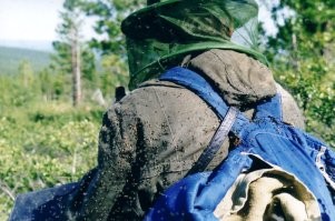 Не в том месте она костры разжигает.