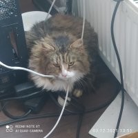 Разница в год, пришел ко мне на работу.