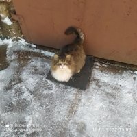 Стал таким.
