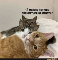 С добрым утром