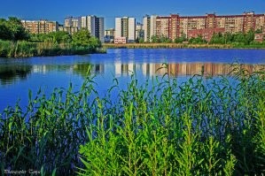 какой спорткомплекс? там, откуда делали фото на берегу уличная сцена стоит и детские площадки.

одно фото - деревья уже подросли, но парка ещё нет ( здание детской поликлиники №77 справа ).
а вот второе фото, правда качество ужасное. слева видна уличная сцена где место "оригинальной" фотографии.
и последнее фото - яндекс карты ( 2021 год ), панорама озера Долгое.
слева - поликлиника, справа - берег, откуда делали фото.