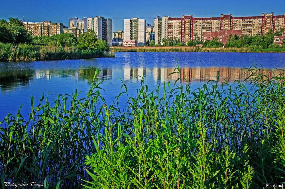 какой спорткомплекс? там, откуда делали фото на берегу уличная сцена стоит и детские площадки.

одно фото - деревья уже подросли, но парка ещё нет ( здание детской поликлиники №77 справа ).
а вот второе фото, правда качество ужасное. слева видна уличная сцена где место "оригинальной" фотографии.
и последнее фото - яндекс карты ( 2021 год ), панорама озера Долгое.
слева - поликлиника, справа - берег, откуда делали фото.