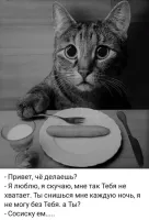 Ему, похоже, морковку дали...