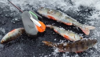 За то с уловом ушли. 
Коту хватит
