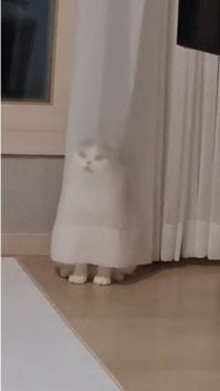 Здесь. Никого. Нет.