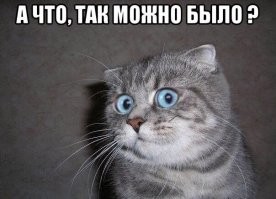 Материнский капитал по-итальянски: женщина заявила о 12 беременностях за 5 лет