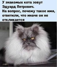 Обо&nbsp;все&nbsp;и&nbsp;ни&nbsp;о&nbsp;чем, но&nbsp;с&nbsp;улыбкой - 3