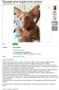 Обо все и ни о чем, но с улыбкой 