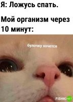 А нехрен ложиться на пустой желудок.