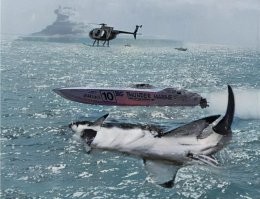 Намешалось